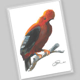 Wholesale Notecards