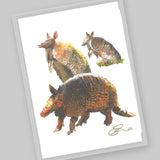 Wholesale Postcards